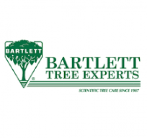 Bartlett Trees